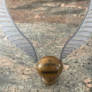 Harry Potter 20 Questions game